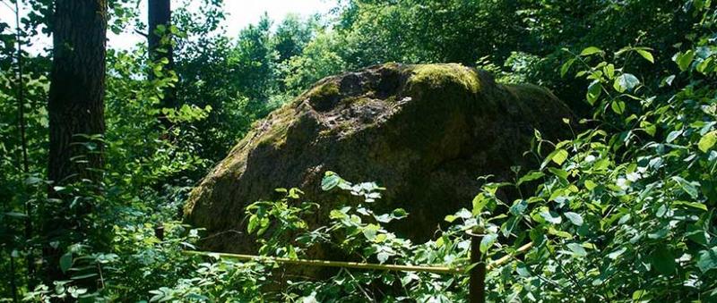 Крэўскімі сцежкамі Першай сусветнай вайны